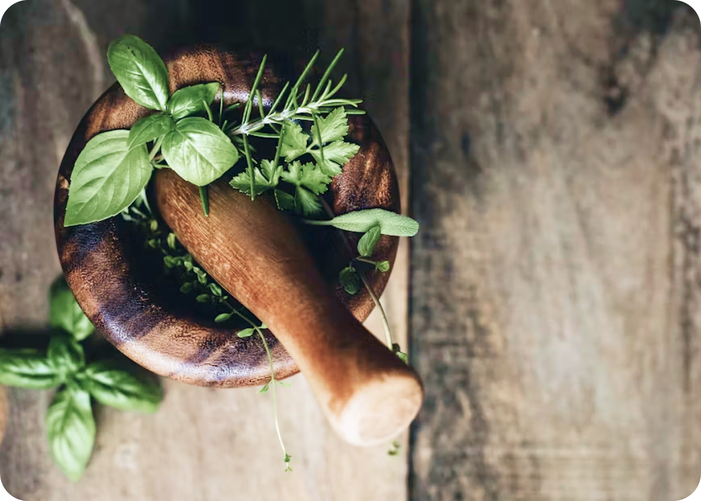 Wellness inspired by Ayurveda
